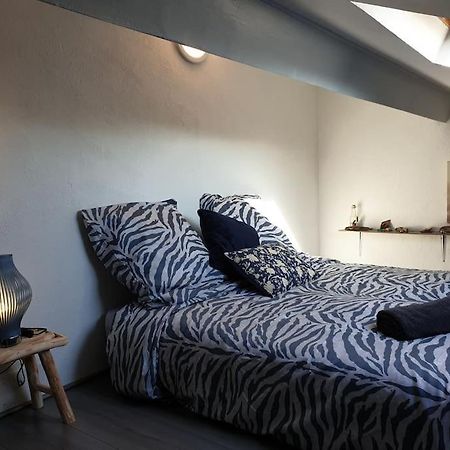 Appartement Duplexe De 1 A 4 Chambres Privees Dans Maison Le Teil Exteriér fotografie